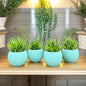 Akaar 4 Blue Ava Pots with Fern