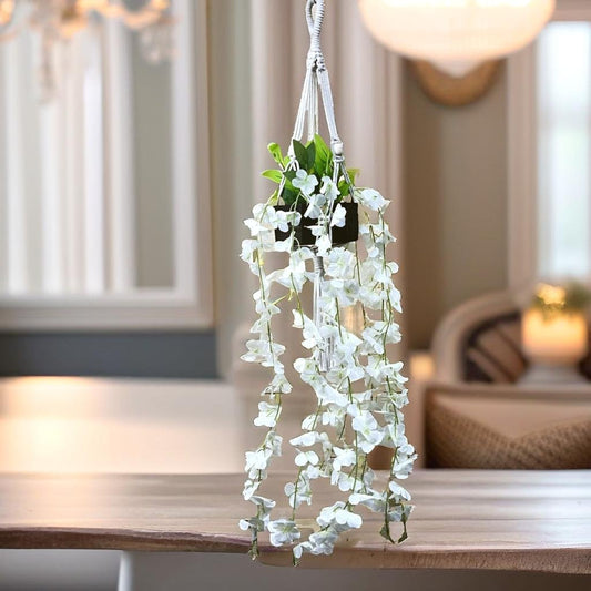 Akaar White Wisteria Hangings with Pot in Cotton Macrame Plant Hanger