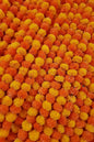 Akaar Marigold Ladi for Festive Décor (Pack of 5)