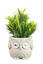 Akaar Artificial Green Fern Plant in Owl Pot as table showpiece