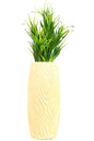 Akaar Artificial Fern Green Bunch with Long Cylindrical Flower Vase