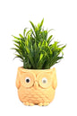 Akaar Artificial Green Fern Plant in Owl Pot as table showpiece