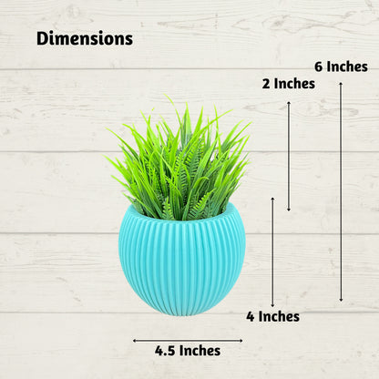 Akaar 4 Blue Ava Pots with Fern