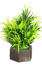 Akaar Artificial Fern Bonsai with Wooden pot for House Decor