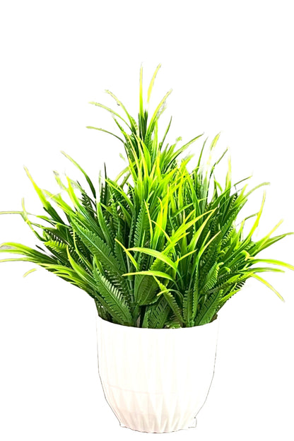 Akaar Artificial Plants for Decoration - Green Fern Bonsai