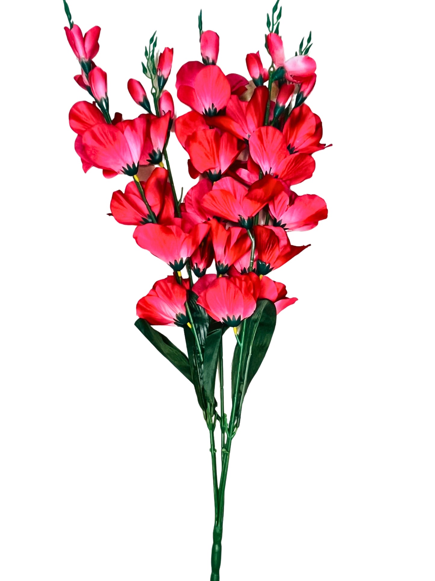 Akaar Gladiolus Flower Long Bunch for Home Decoration