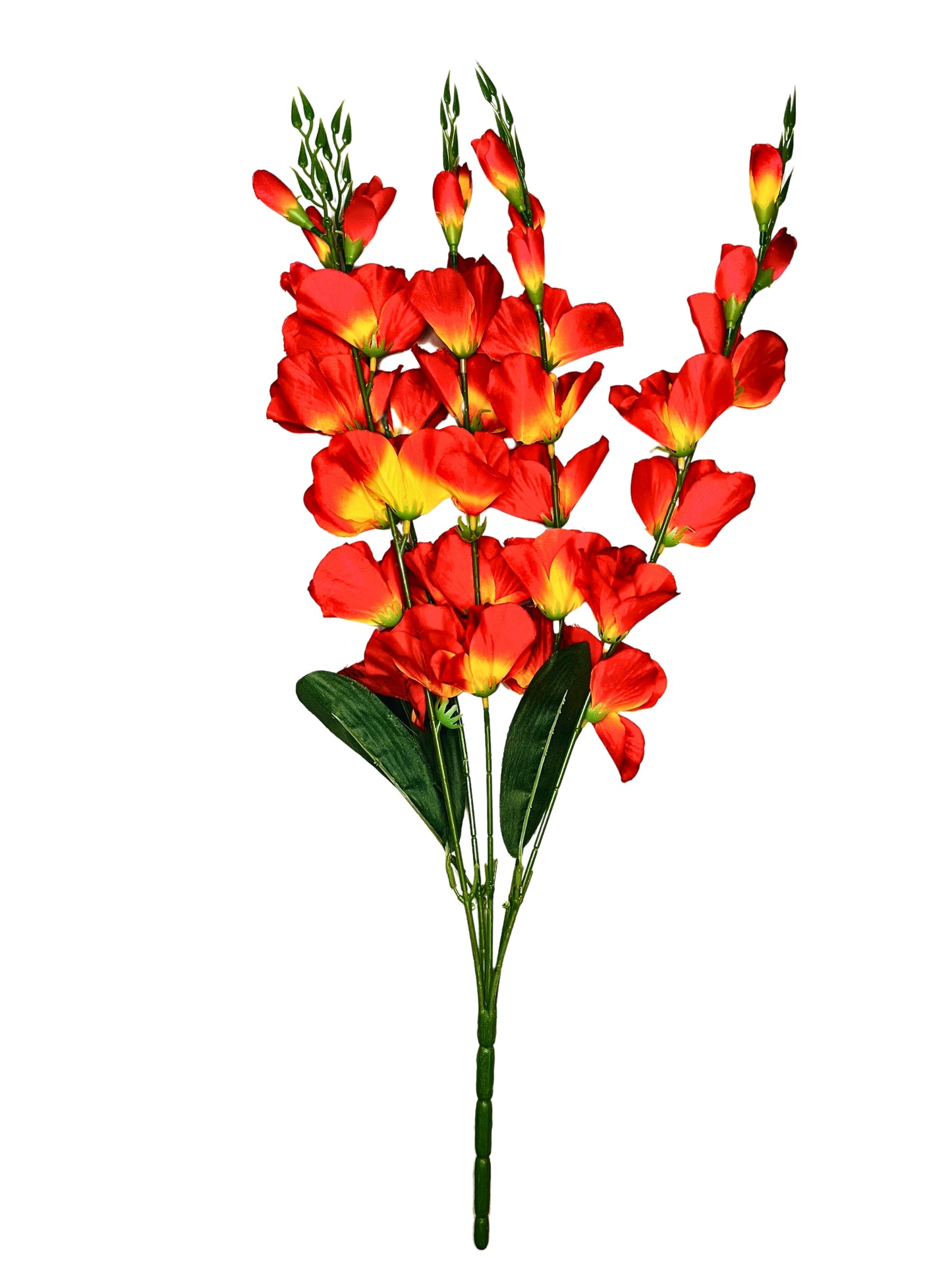 Akaar Gladiolus Flower Long Bunch for Home Decoration