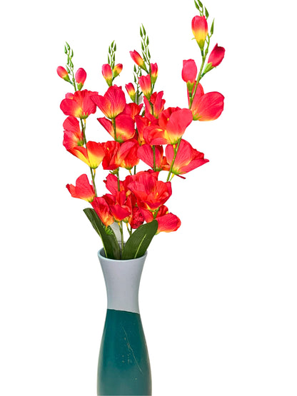 Akaar Gladiolus Flower Long Bunch for Home Decoration